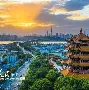 湖北队追赶争取胜利，密切注意对手动态的简单介绍