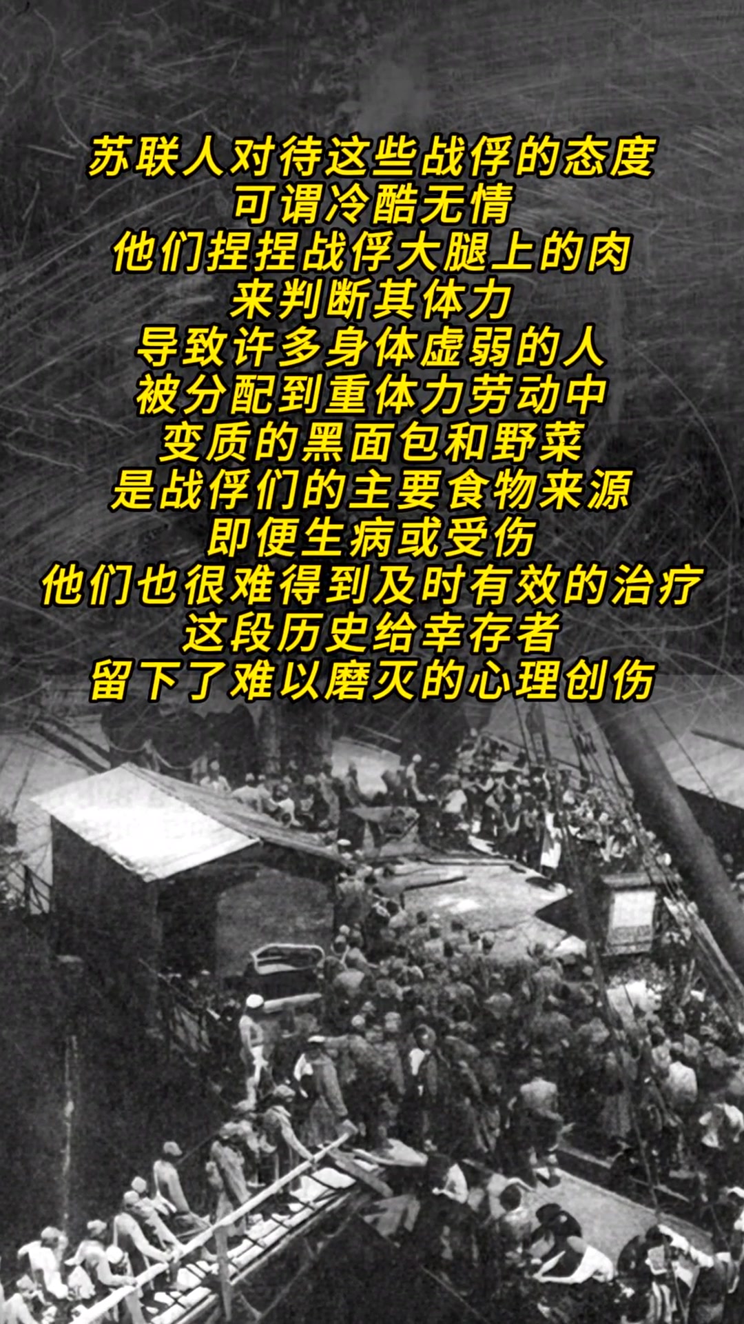 维尔纽斯一战屠杀周围没有人还在跺烈的简单介绍