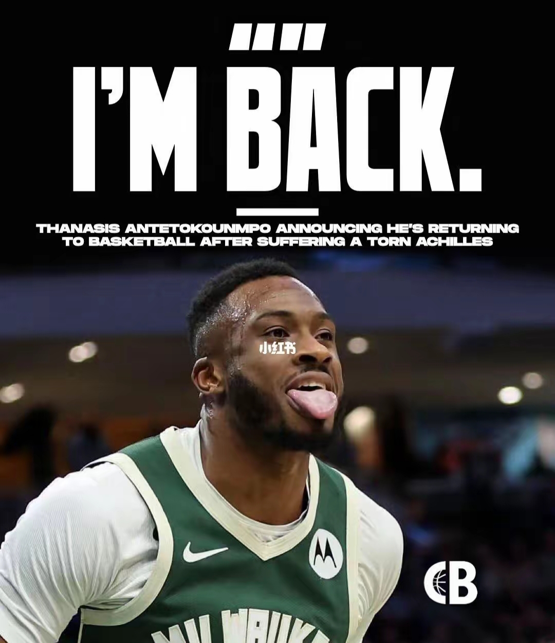 开云体育在线_猛龙队遭遇挑战，字母哥孤军奋战的简单介绍